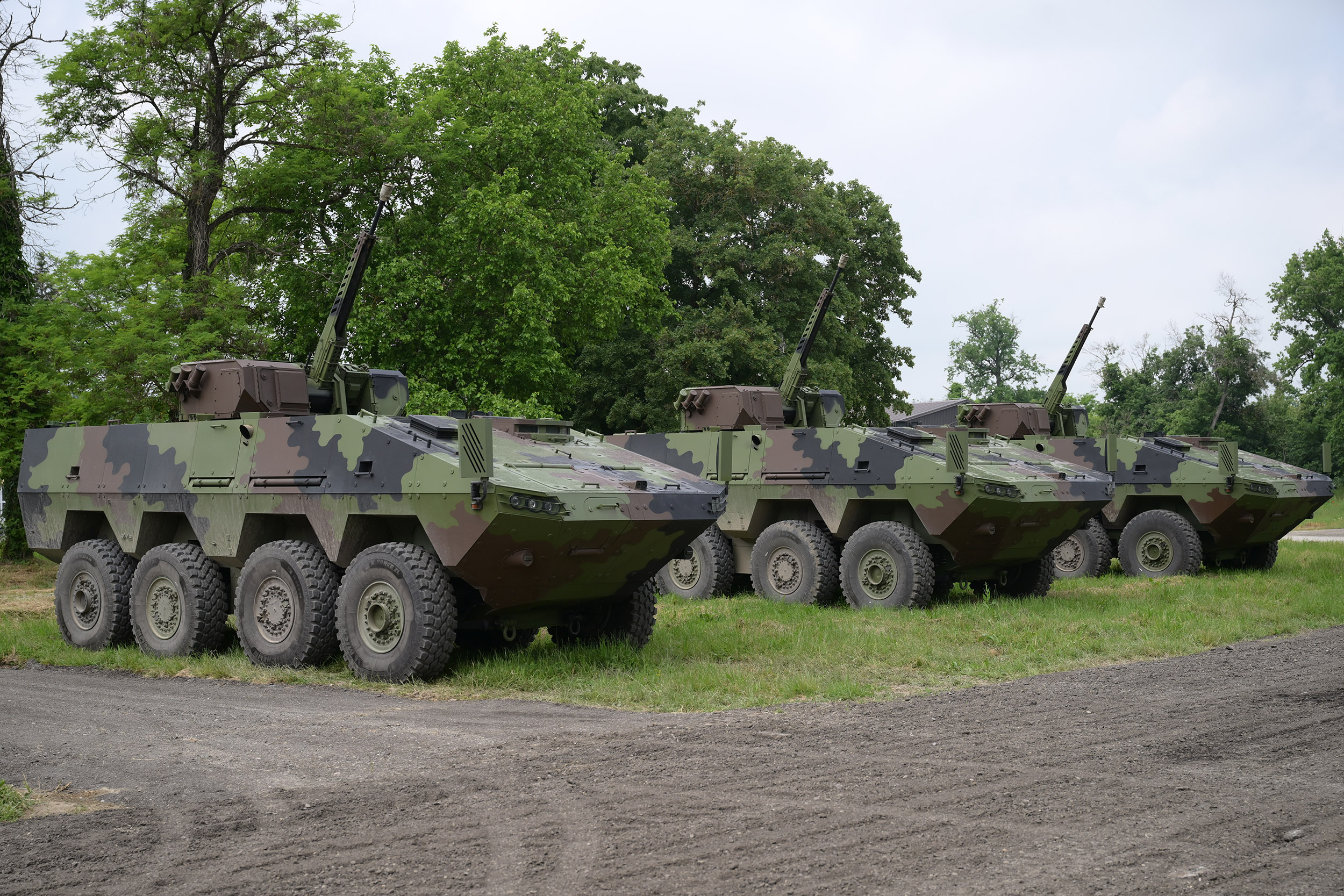 Lazar-3M.