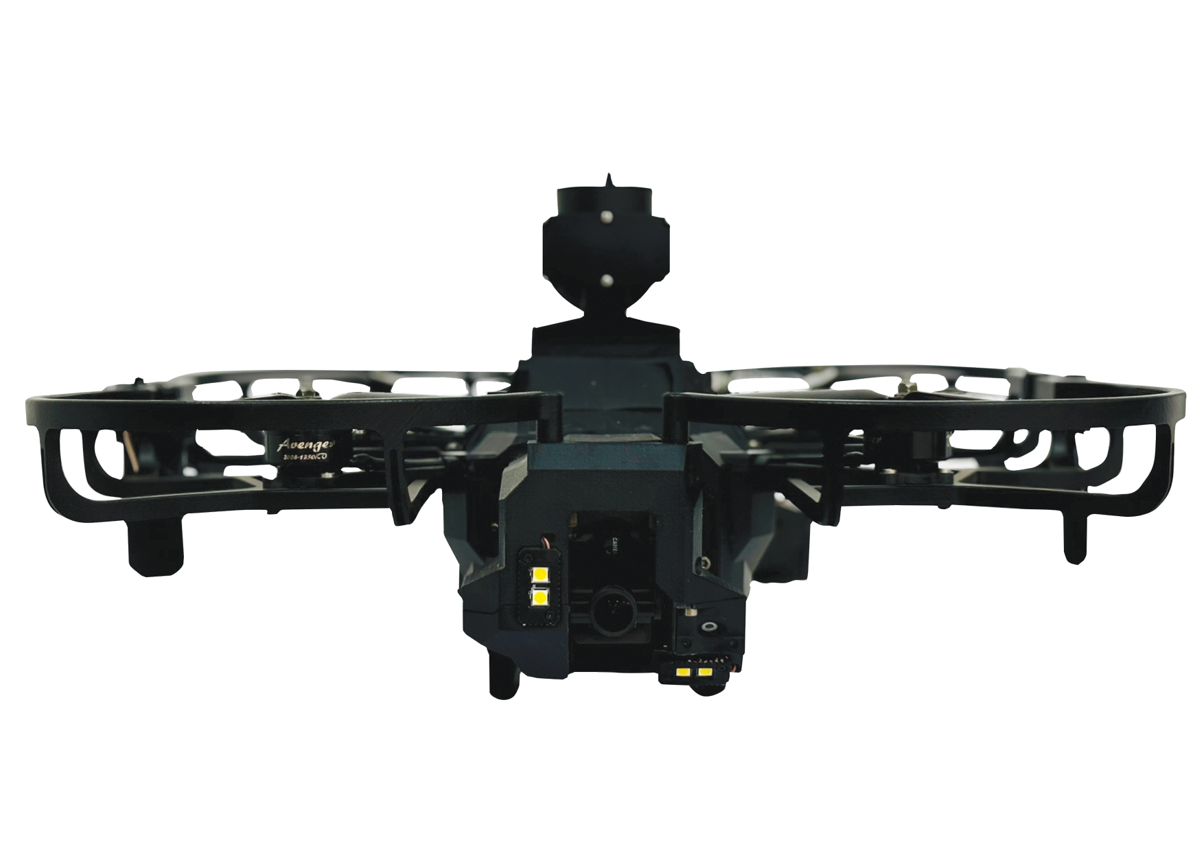 Lanius-X